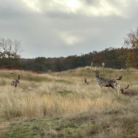 Intermediate House From 1920 Near Beach, Haarlem En Adam וילה
