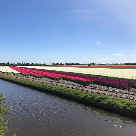 Intermediate House From 1920 Near Beach, Haarlem En Adam Villa