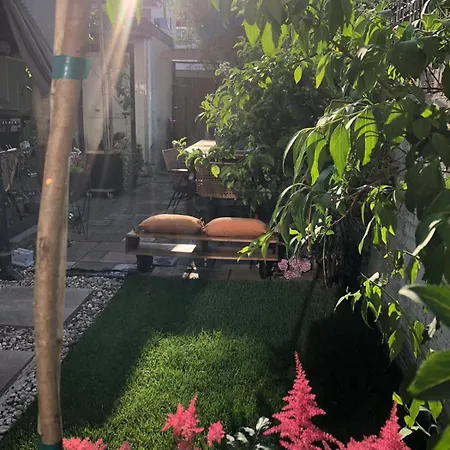 וילה Intermediate House From 1920 Near Beach, Haarlem En Adam *